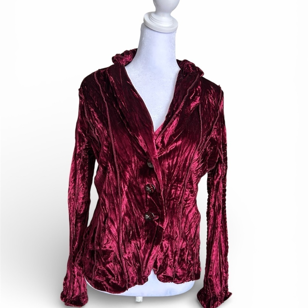 Passion concepts women’s burgundy crushed velvet Y2K style button front blouse L